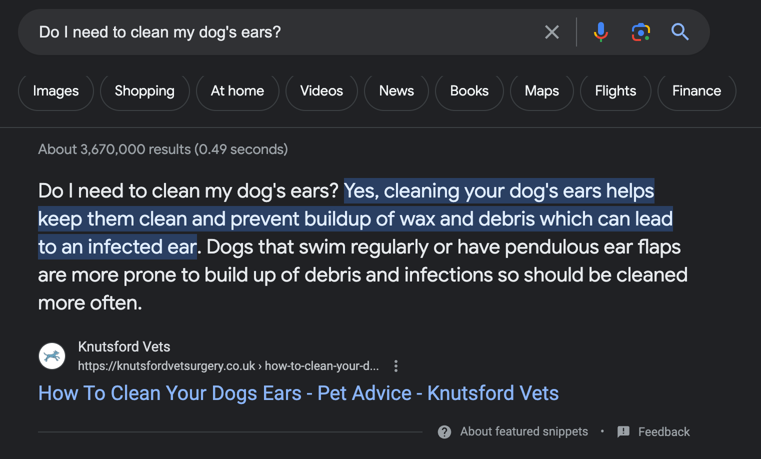 Google screenshot example of user intent 1